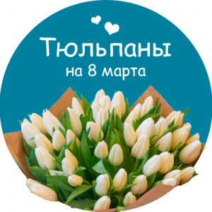 Купить тюльпаны в Карпинске